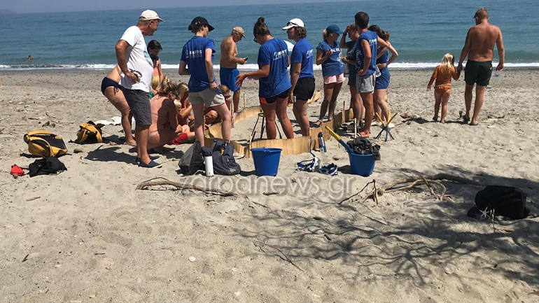 Νεογέννητα χελωνάκια καρέτα-καρέτα κάνουν τα πρώτα τους βήματα σε παραλία των Χανίων